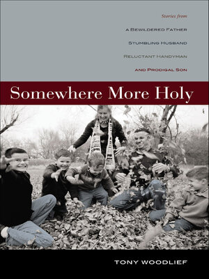 cover image of Somewhere More Holy